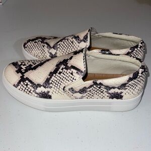 Steve Madden Gills Snake Print Slip Ons